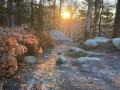 automne-2022