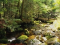 credit-parc-national1