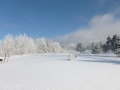 Paysage hivernal